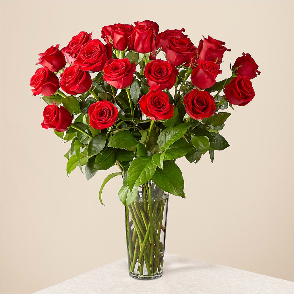 Long Stem Red Rose Bouquet – Newell Flower Shop Ltd., Kamloops BC