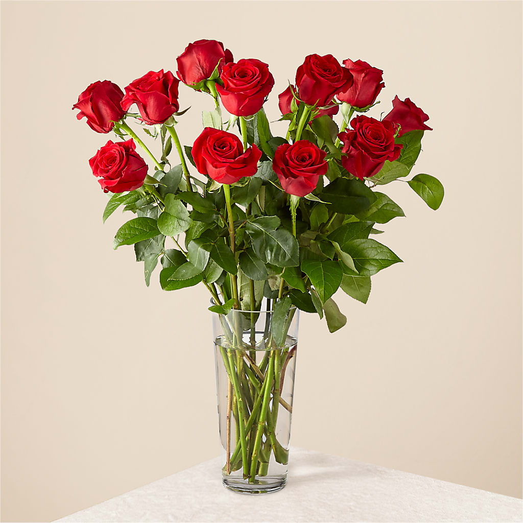 Long Stem Red Rose Bouquet – Newell Flower Shop Ltd., Kamloops BC
