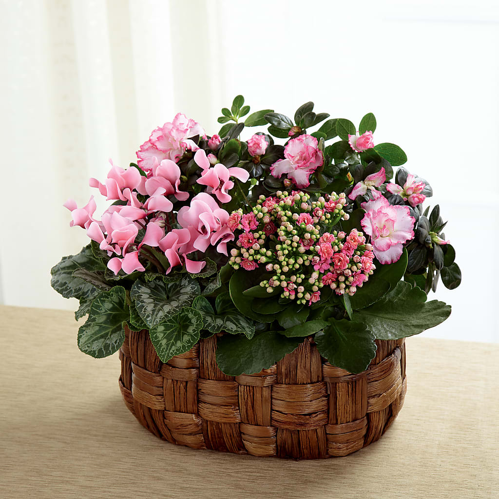 Pink Assortment – Newell Flower Shop Ltd., Kamloops BC