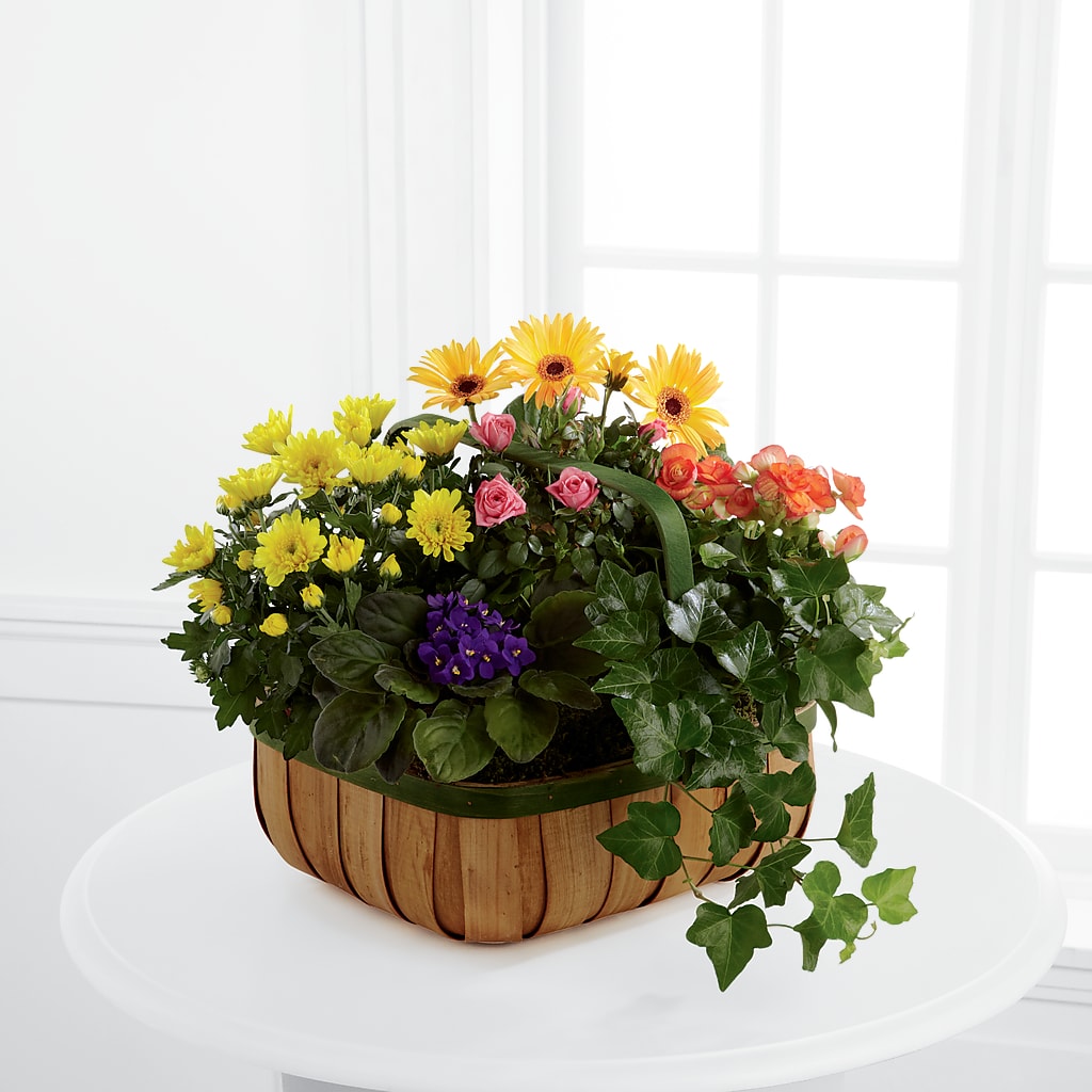 Gentle Blossoms Basket – Newell Flower Shop Ltd., Kamloops BC