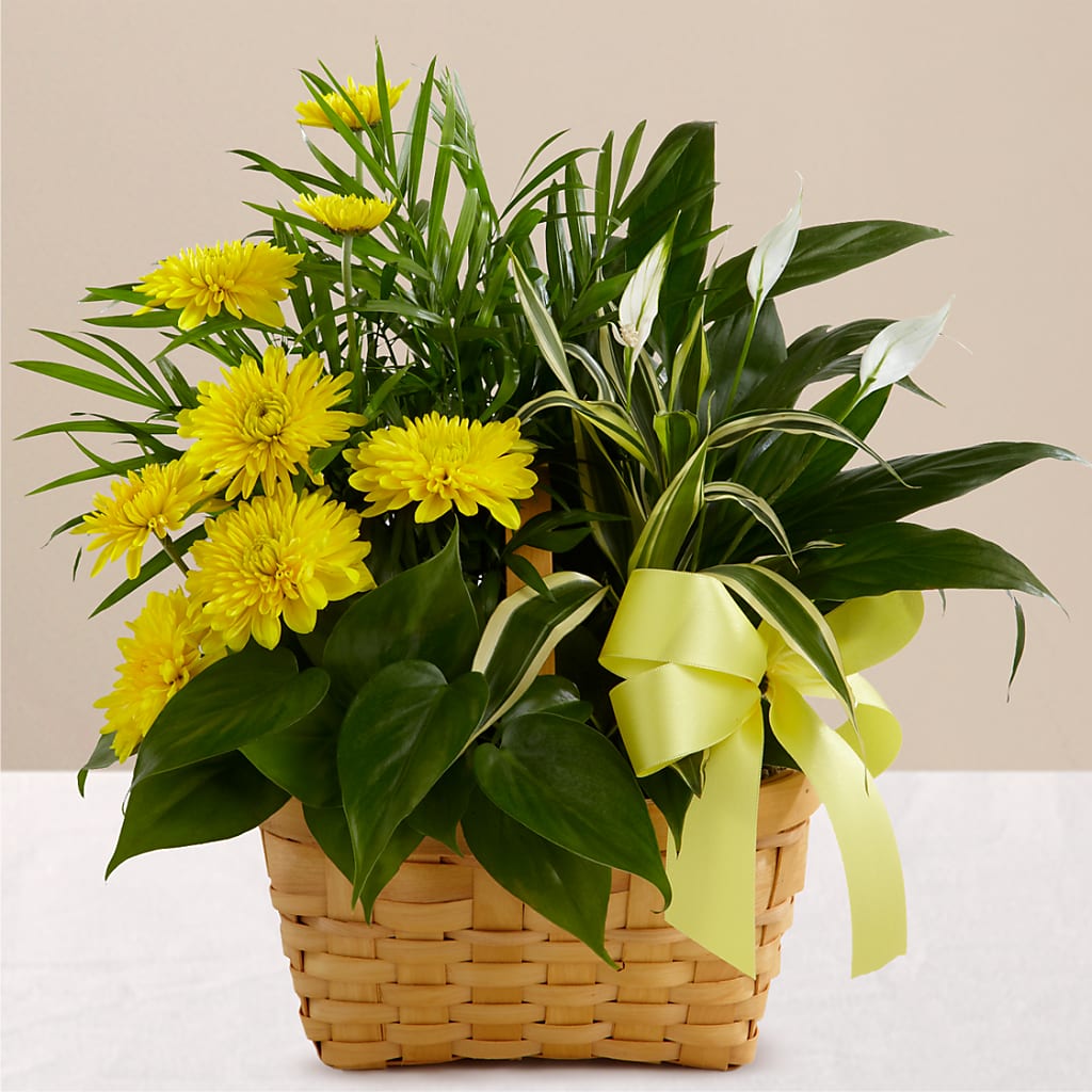 Loving Light Dishgarden – Newell Flower Shop Ltd., Kamloops BC