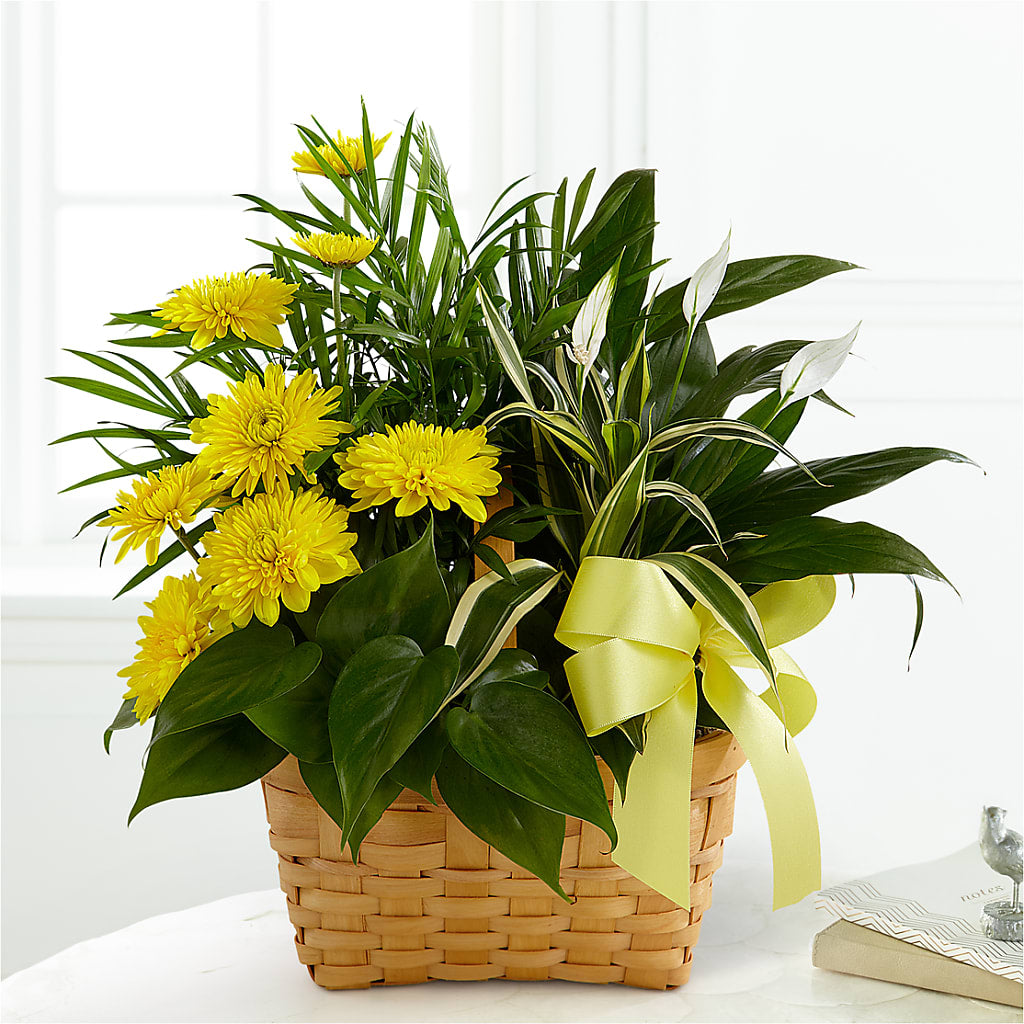 Loving Light Dishgarden – Newell Flower Shop Ltd., Kamloops BC