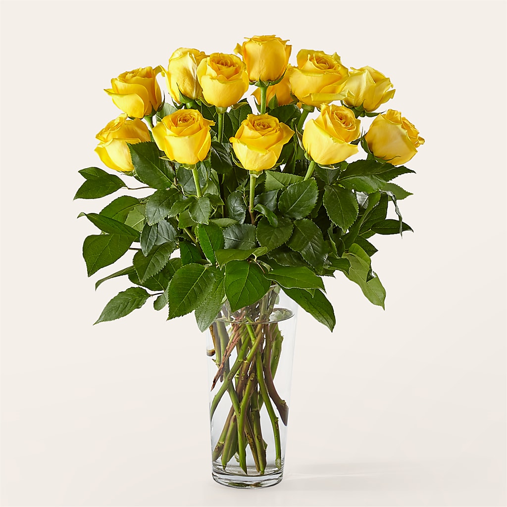Long Stem Yellow Rose Bouquet – Newell Flower Shop Ltd., Kamloops BC