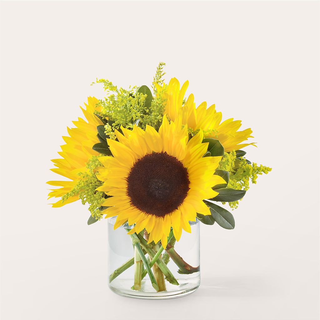Beaming Sunflower Bouquet – Newell Flower Shop Ltd., Kamloops BC