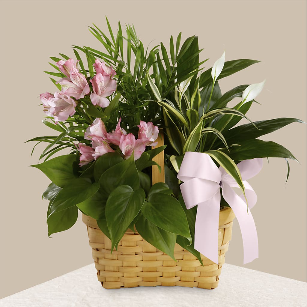 Living Spirit Dishgarden – Newell Flower Shop Ltd., Kamloops BC