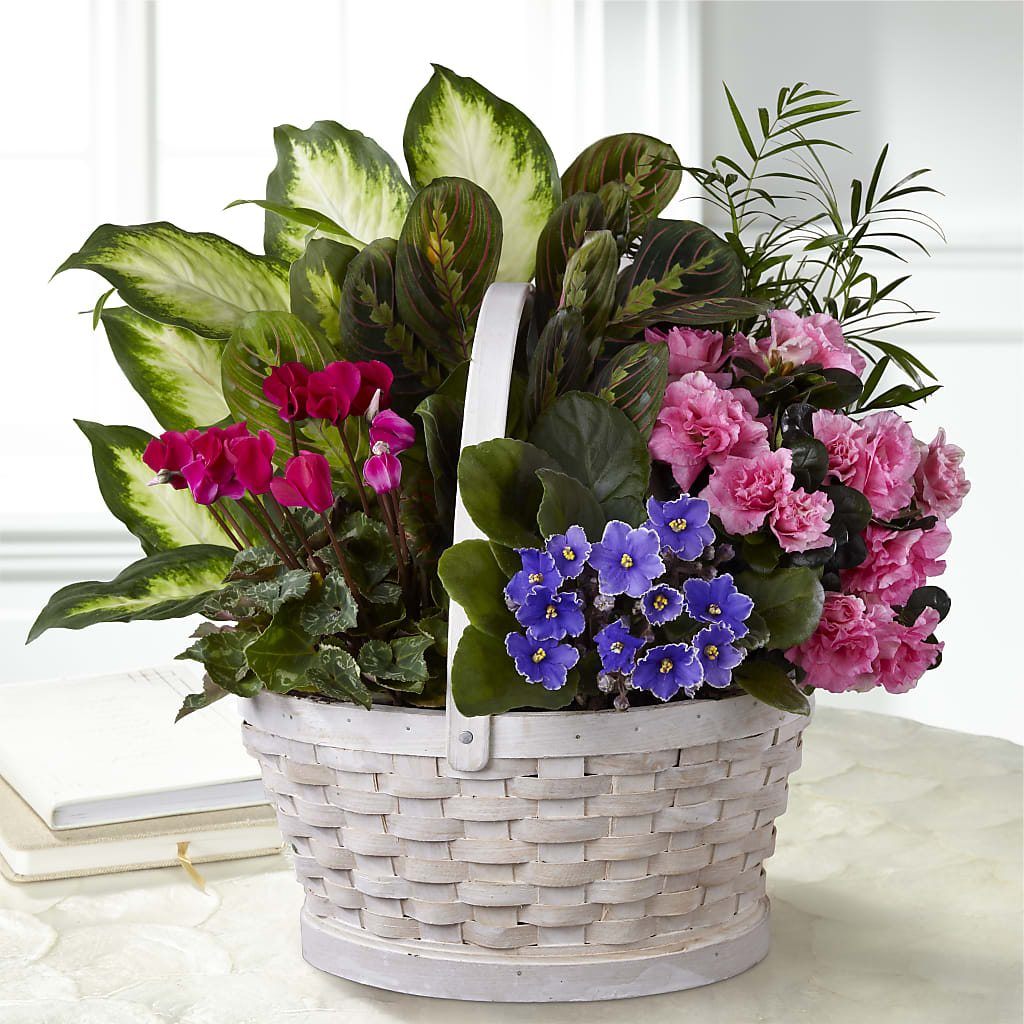 Peaceful Garden Planter – Newell Flower Shop Ltd., Kamloops BC