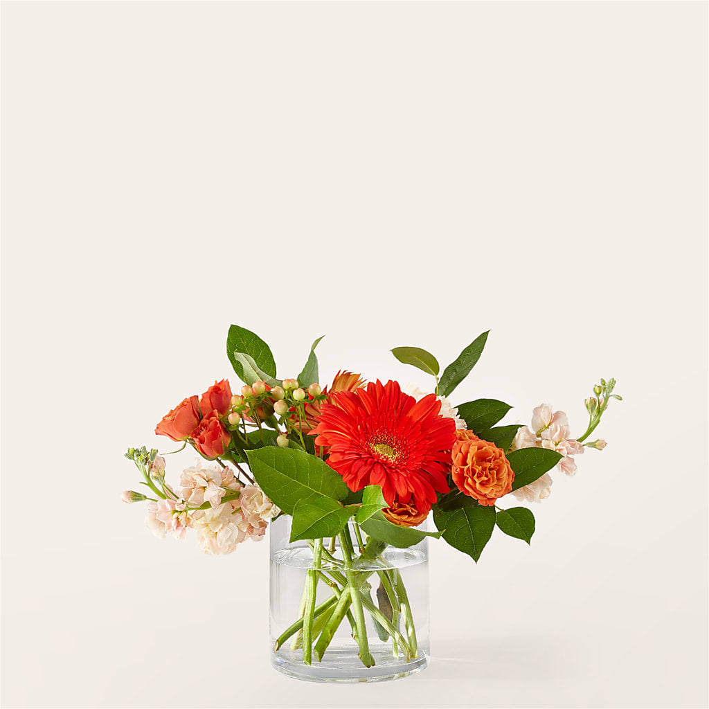 Paloma Please Bouquet – Newell Flower Shop Ltd., Kamloops BC