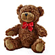 Adorable Plush Bear –  Newell Flower Shop Ltd., Kamloops BC