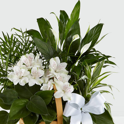 Peace & Serenity Dishgarden –  Newell Flower Shop Ltd., Kamloops BC