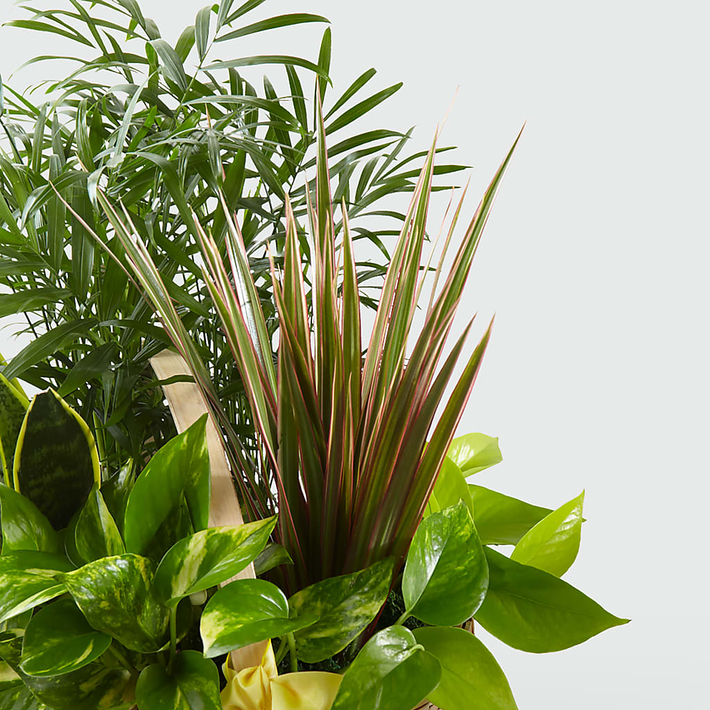 French Garden –  Newell Flower Shop Ltd., Kamloops BC