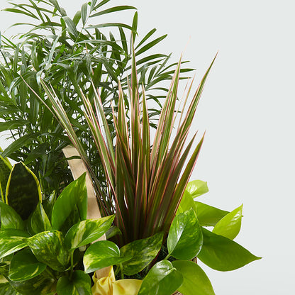 French Garden –  Newell Flower Shop Ltd., Kamloops BC