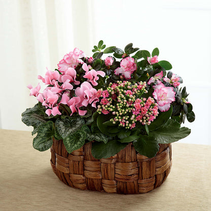 Pink Assortment –  Newell Flower Shop Ltd., Kamloops BC