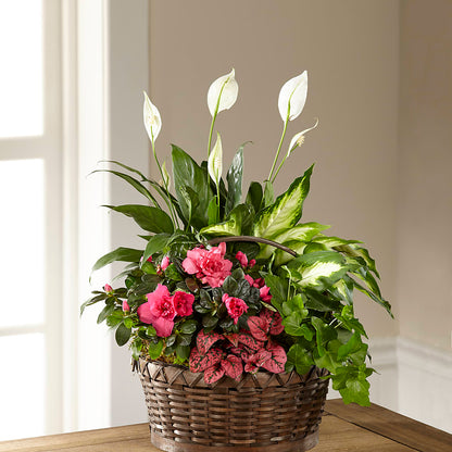 Dream in Pink Dishgarden –  Newell Flower Shop Ltd., Kamloops BC