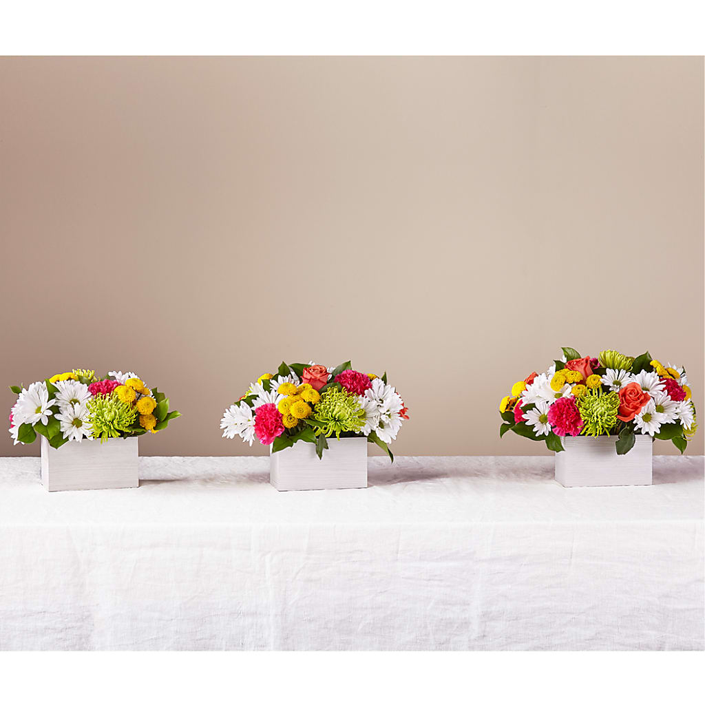 Sorbet Bouquet –  Newell Flower Shop Ltd., Kamloops BC
