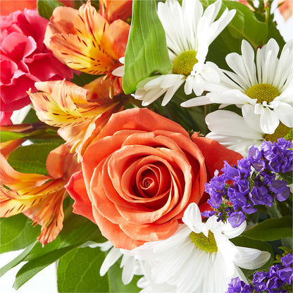 Oopsie Daisy Box Bouquet –  Newell Flower Shop Ltd., Kamloops BC