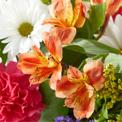 Oopsie Daisy Box Bouquet –  Newell Flower Shop Ltd., Kamloops BC