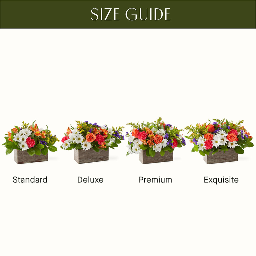 Oopsie Daisy Box Bouquet –  Newell Flower Shop Ltd., Kamloops BC