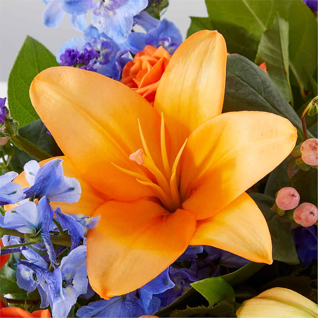 Radiant Citrus Box Bouquet –  Newell Flower Shop Ltd., Kamloops BC