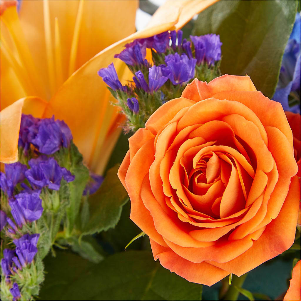Radiant Citrus Box Bouquet –  Newell Flower Shop Ltd., Kamloops BC