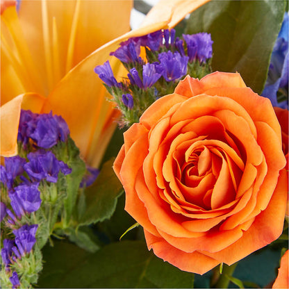 Radiant Citrus Box Bouquet –  Newell Flower Shop Ltd., Kamloops BC