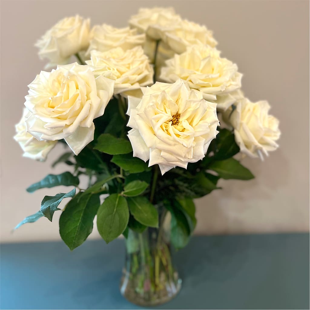 Long Stem Yellow Rose Bouquet –  Newell Flower Shop Ltd., Kamloops BC