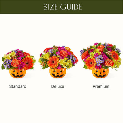 Tricks & Treats Pumpkin –  Newell Flower Shop Ltd., Kamloops BC