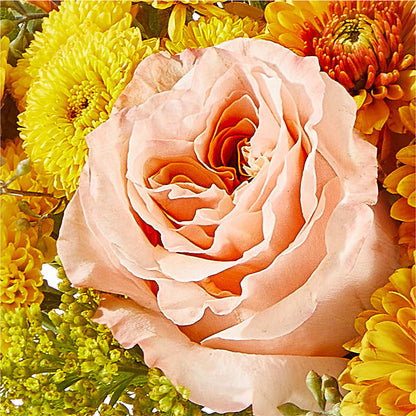 Peachy Pumpkin –  Newell Flower Shop Ltd., Kamloops BC