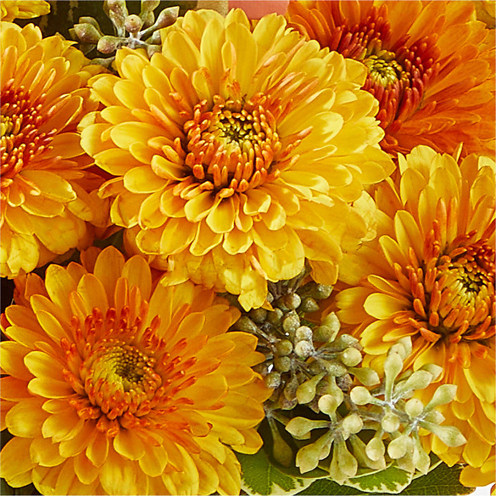 Peachy Pumpkin –  Newell Flower Shop Ltd., Kamloops BC