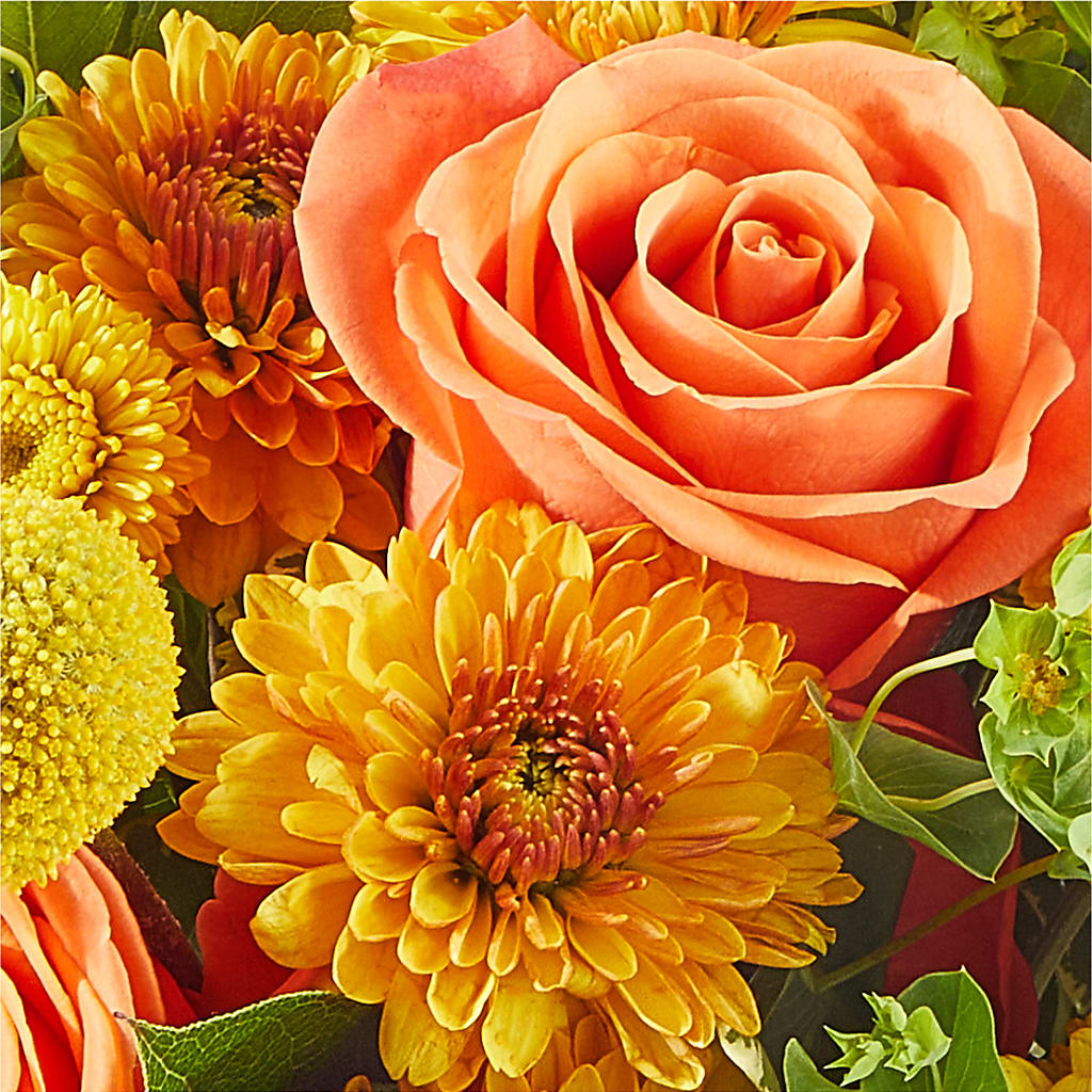 Gourdgeous Pumpkin –  Newell Flower Shop Ltd., Kamloops BC