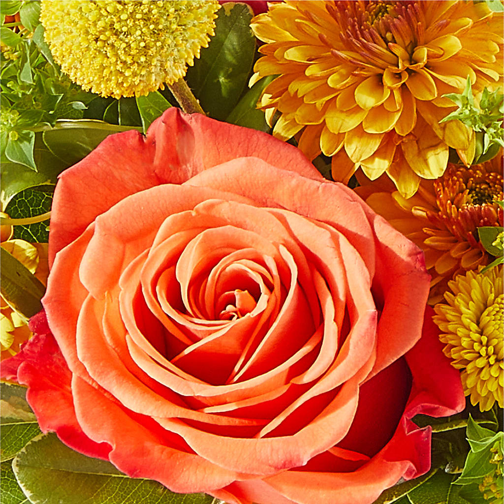Gourdgeous Pumpkin –  Newell Flower Shop Ltd., Kamloops BC