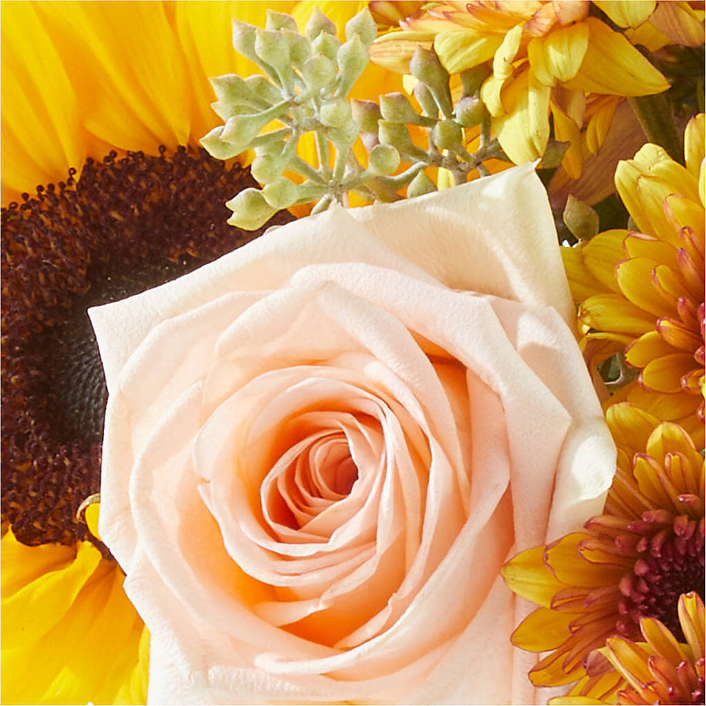 Pumpkin to Talk About Bouquet –  Newell Flower Shop Ltd., Kamloops BC