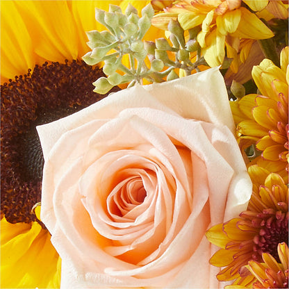 Pumpkin to Talk About Bouquet –  Newell Flower Shop Ltd., Kamloops BC