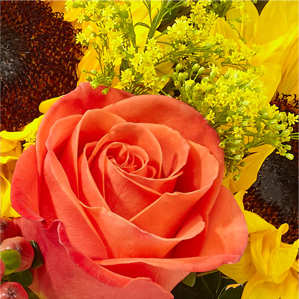 Pick of the Patch Pumpkin Bouquet –  Newell Flower Shop Ltd., Kamloops BC
