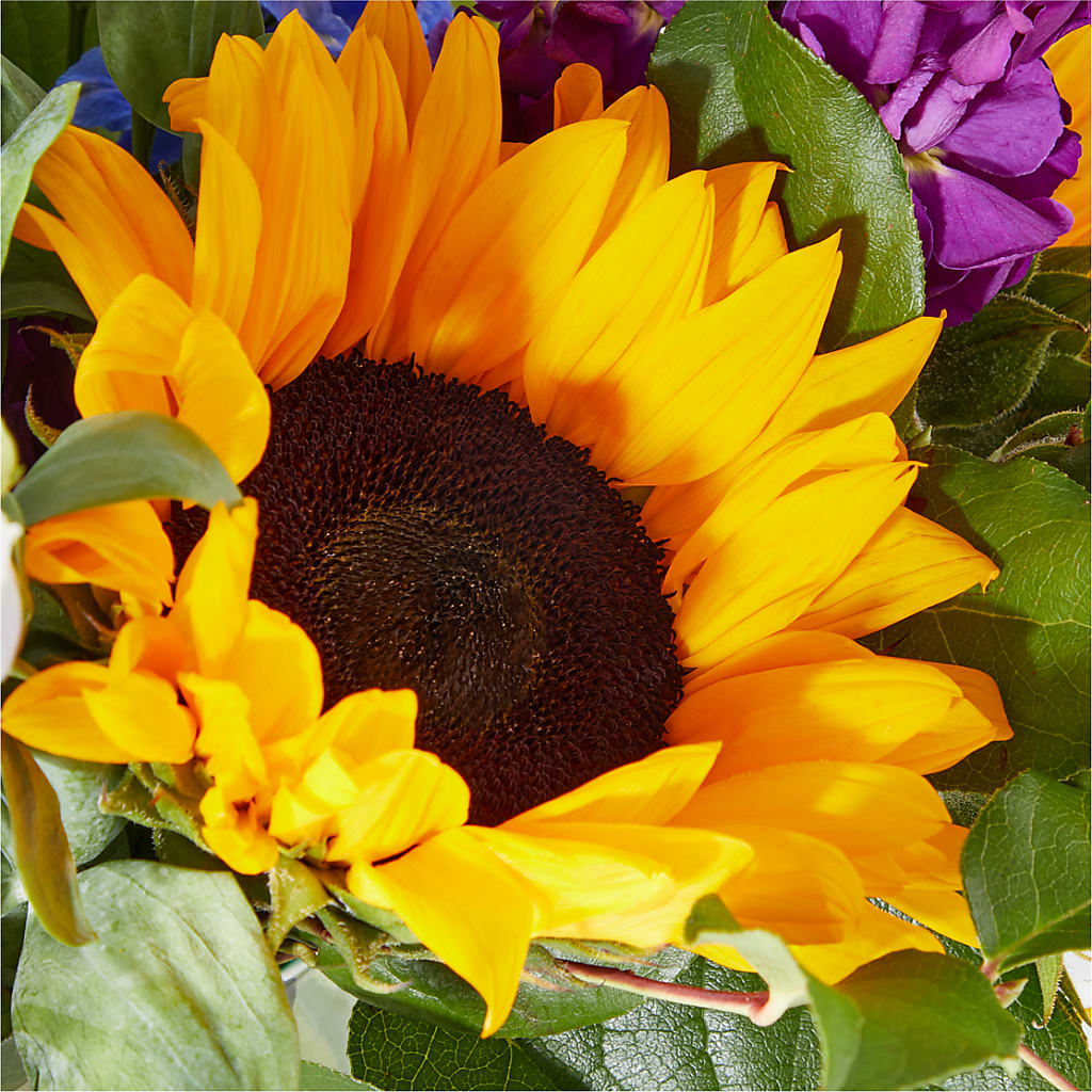 Catching Rays Bouquet –  Newell Flower Shop Ltd., Kamloops BC