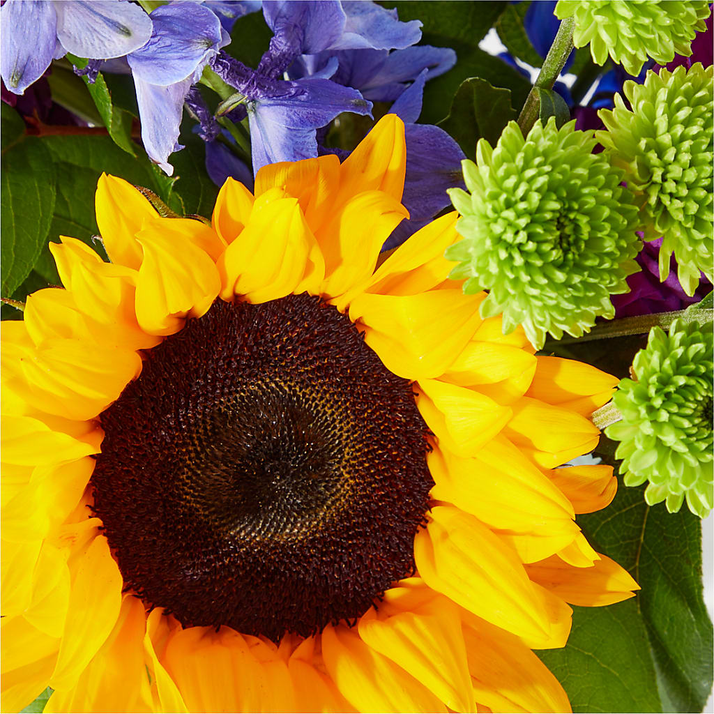 Catching Rays Bouquet –  Newell Flower Shop Ltd., Kamloops BC