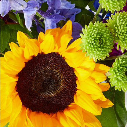 Catching Rays Bouquet –  Newell Flower Shop Ltd., Kamloops BC