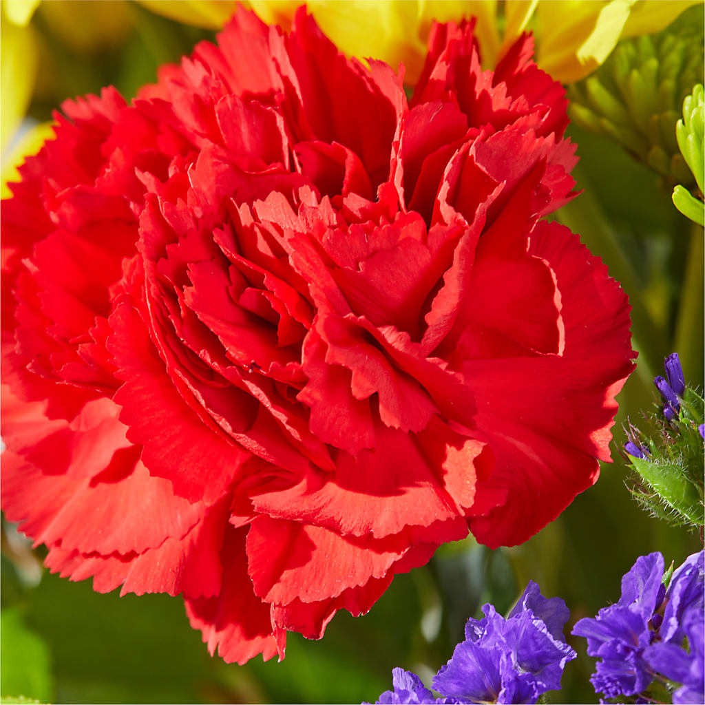 Brighter Days Bouquet –  Newell Flower Shop Ltd., Kamloops BC
