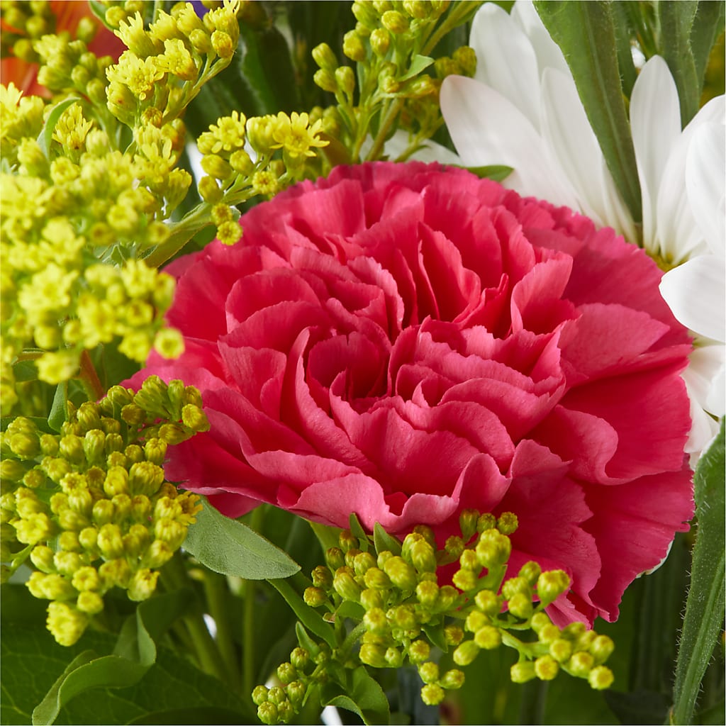 Oopsie Daisy Bouquet –  Newell Flower Shop Ltd., Kamloops BC