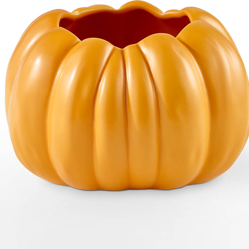 Golden Gourd Pumpkin Bouquet –  Newell Flower Shop Ltd., Kamloops BC