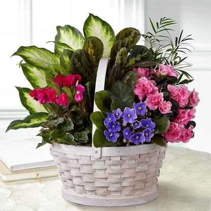 Peaceful Garden Planter –  Newell Flower Shop Ltd., Kamloops BC