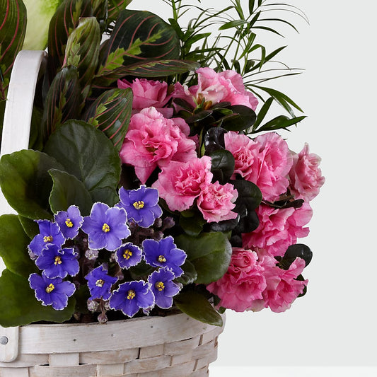 Peaceful Garden Planter –  Newell Flower Shop Ltd., Kamloops BC