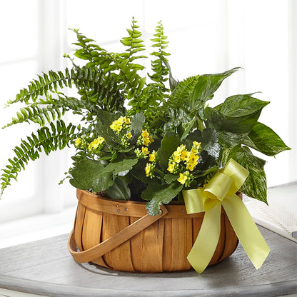 Always Dear Dishgarden –  Newell Flower Shop Ltd., Kamloops BC