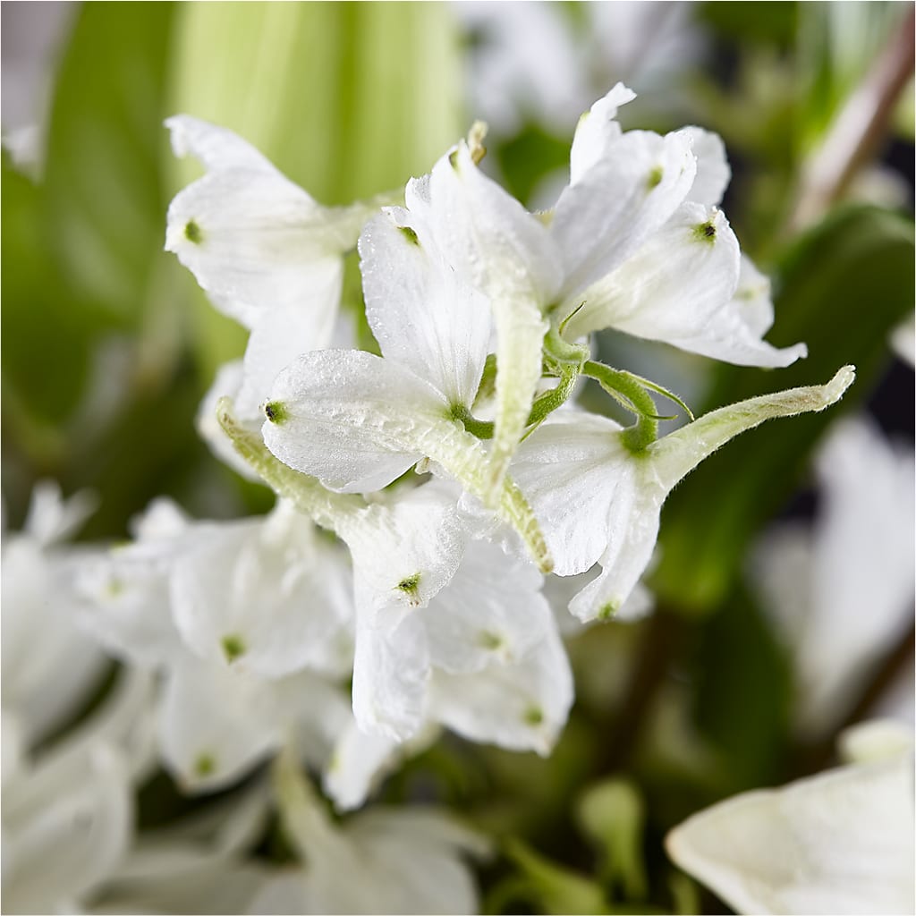 Classic Ivory – A Florist Original –  Newell Flower Shop Ltd., Kamloops BC