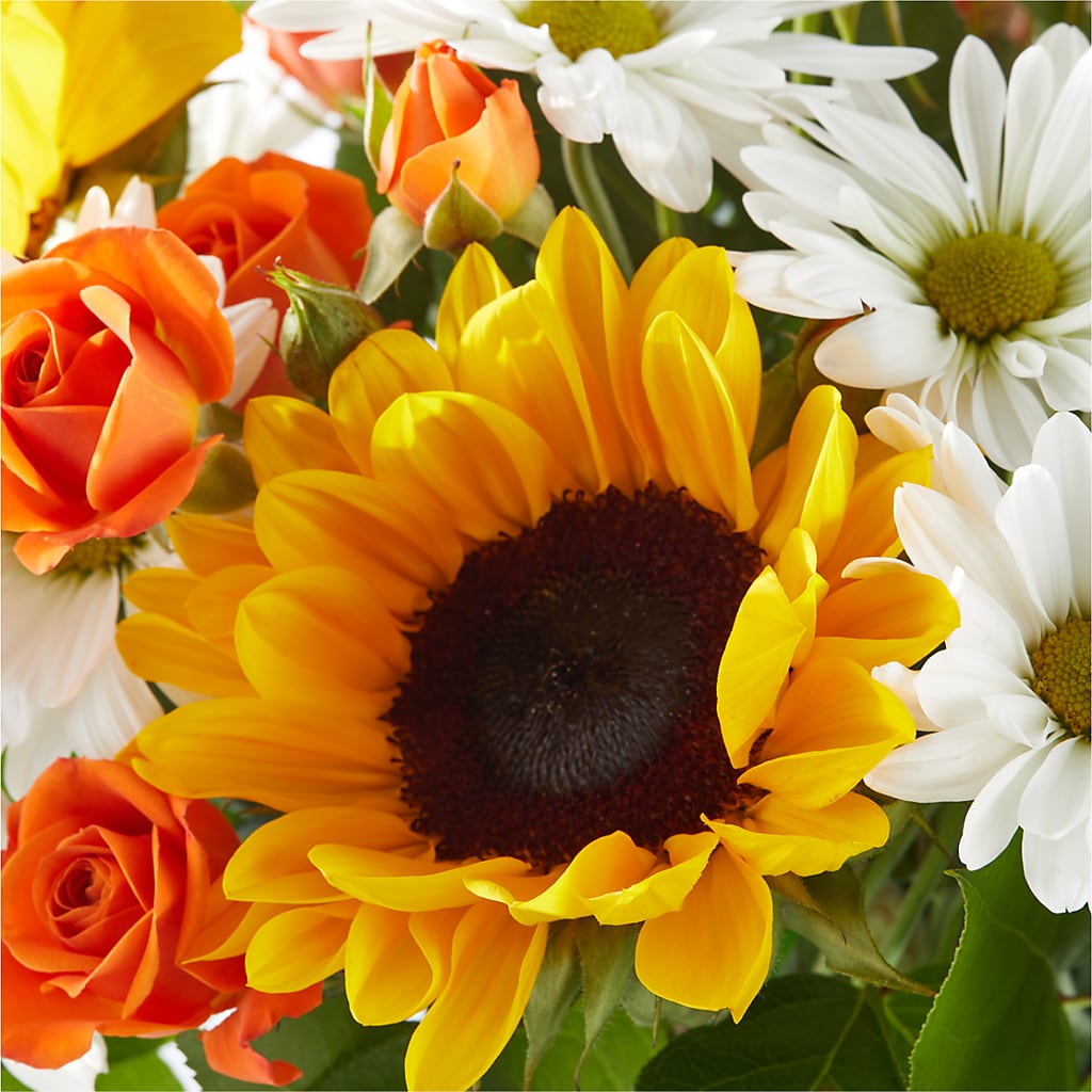 Sun-drenched Blooms Bouquet –  Newell Flower Shop Ltd., Kamloops BC