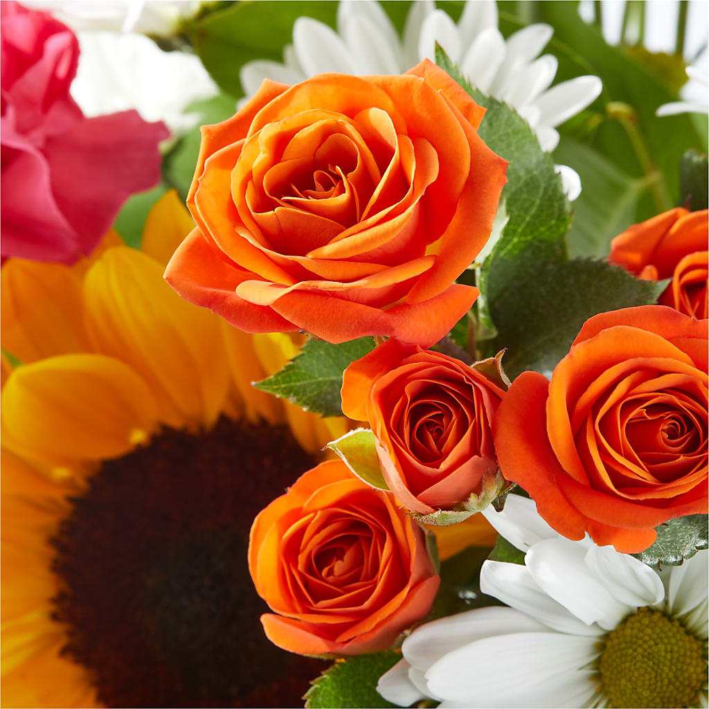 Sun-drenched Blooms Bouquet –  Newell Flower Shop Ltd., Kamloops BC