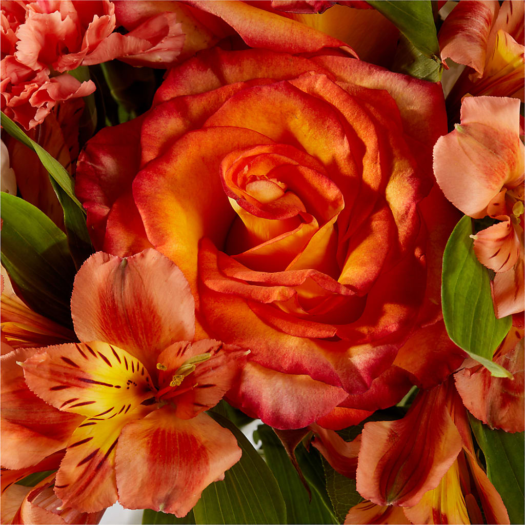 Apricot Glow Bouquet –  Newell Flower Shop Ltd., Kamloops BC