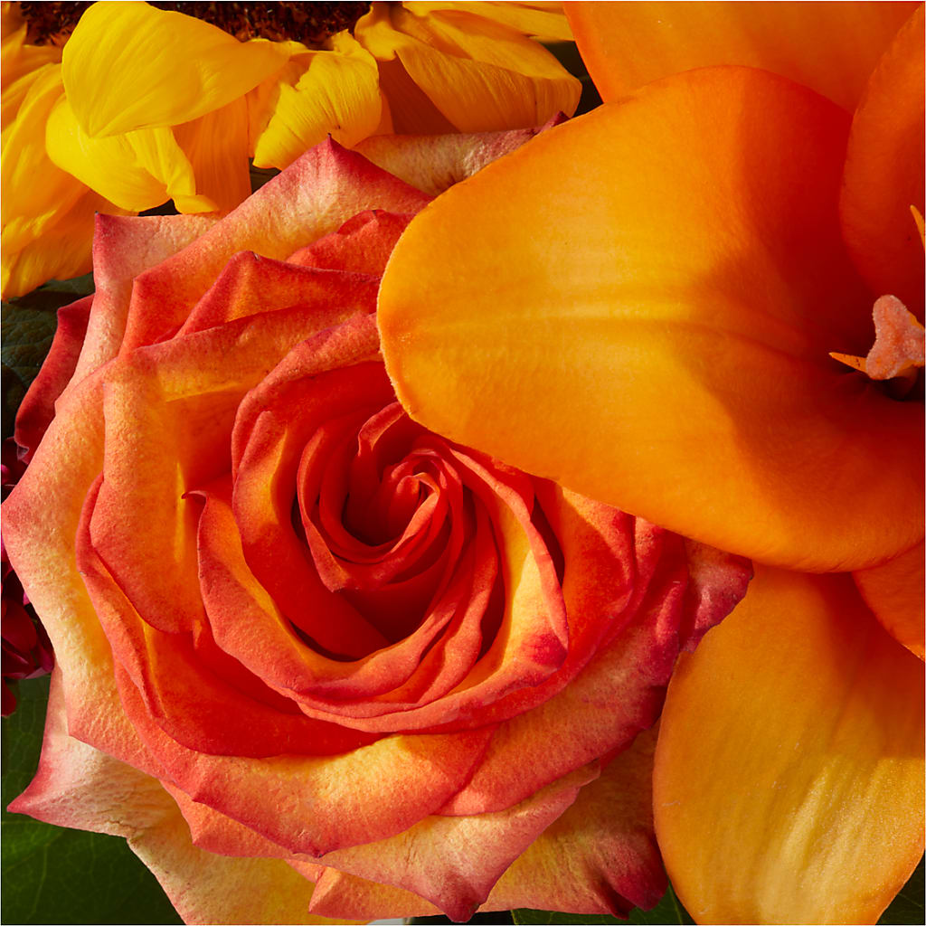 Grateful Centerpiece –  Newell Flower Shop Ltd., Kamloops BC