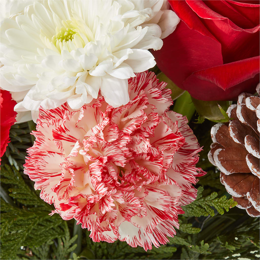 Candy Cane Lane Bouquet –  Newell Flower Shop Ltd., Kamloops BC