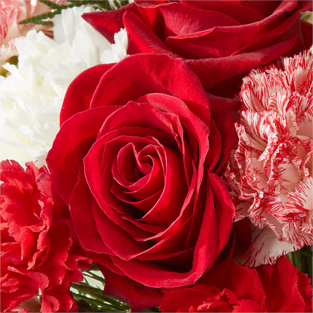 Candy Cane Lane Bouquet –  Newell Flower Shop Ltd., Kamloops BC