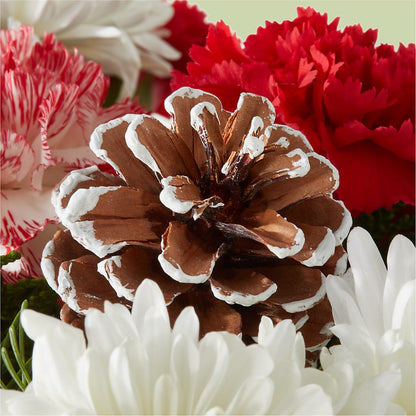 Candy Cane Lane Bouquet –  Newell Flower Shop Ltd., Kamloops BC